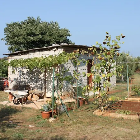 With Parking Space - 6995 * Ουμάγκ