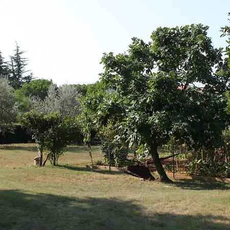 With A Parking Space - 6995 Apartment Umag