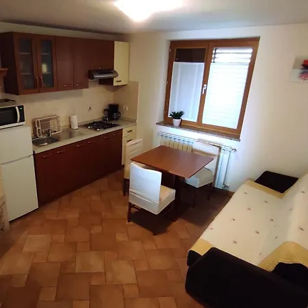 Apartment With A Parking Space - 6995 Umag